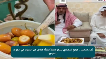 ثمار النخيل.. مزارع سعودي يبتكر مخللاً جديدًا كبديل عن الزيتون في الجوف بالفيديو